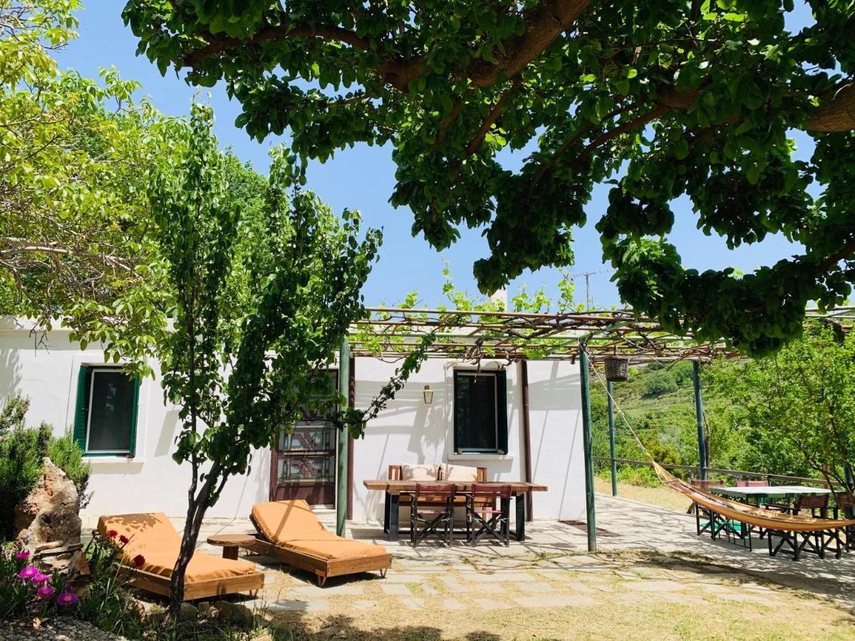 Temenia House Vila Exterior foto